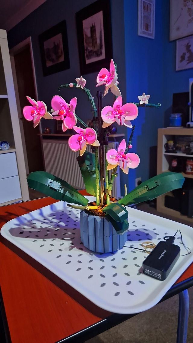 Puzzloria™ | Light Kit for LEGO® Orchid Customer Review