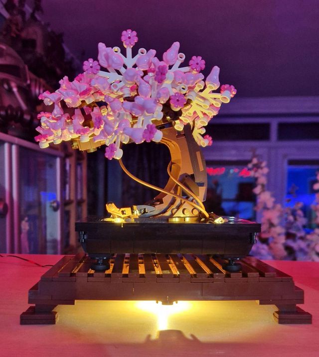 Puzzloria™ | Light Kit for LEGO® Tranquil Garden Customer Review