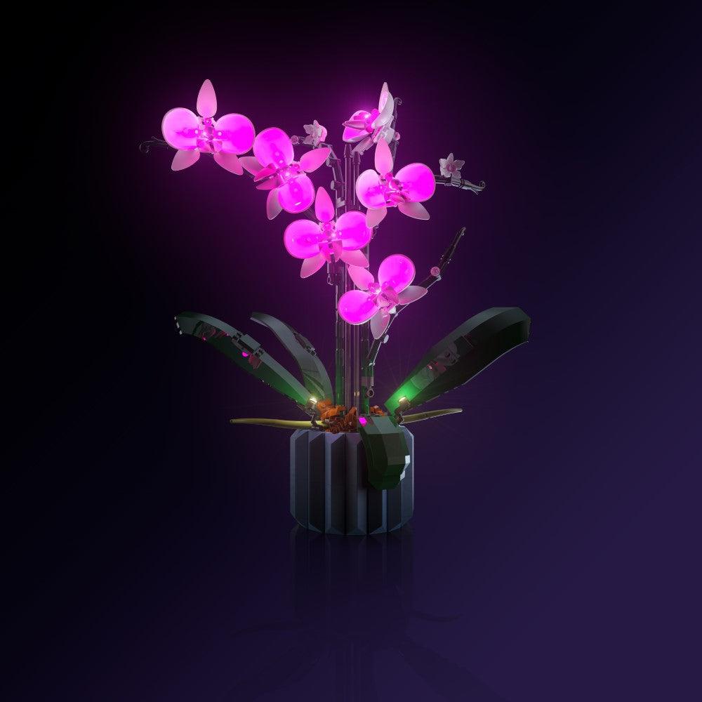 Puzzloria™ | Light Kit for LEGO® Orchid - Puzzloria