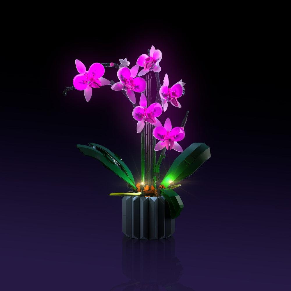 Puzzloria™ | Light Kit for LEGO® Orchid - Puzzloria