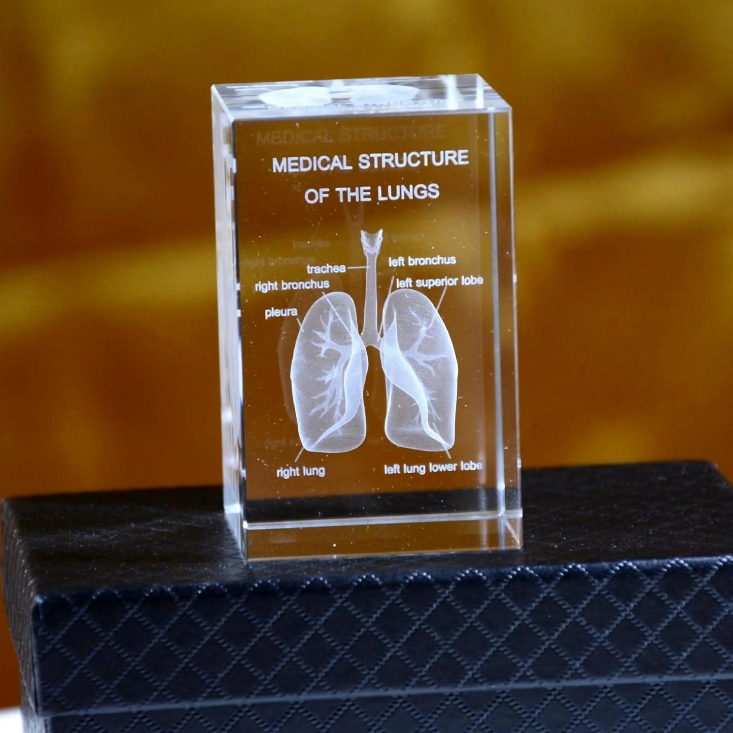 Puzzloria™ | 3D Crystal Anatomical Models - Puzzloria lungs