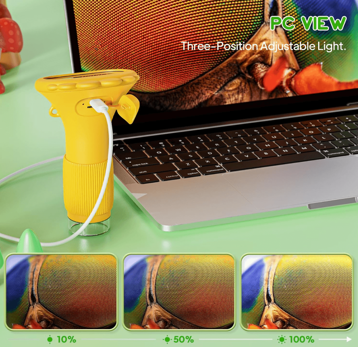 Puzzloria™ | Micro Explorer Pro 1000X Digital Microscope - Puzzloria
