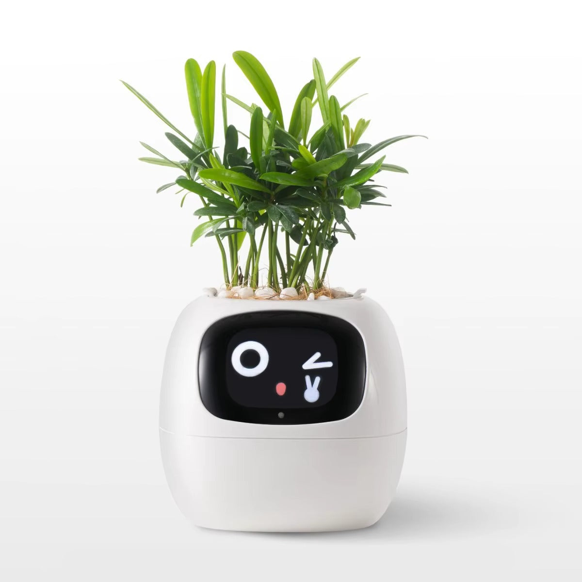 Puzzloria | Smart Plant Pot with AI Sensors - Self Watering Planter App Control Indoor Garden Smart Home
