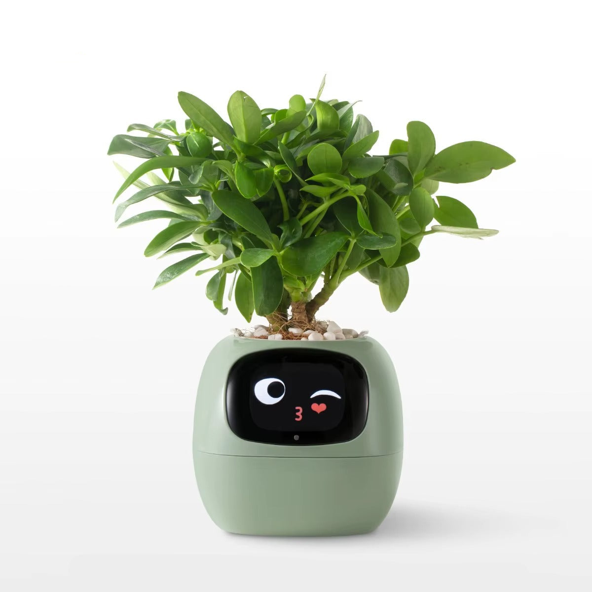 Puzzloria | Smart Plant Pot with AI Sensors - Self Watering Planter App Control Indoor Garden Smart Home