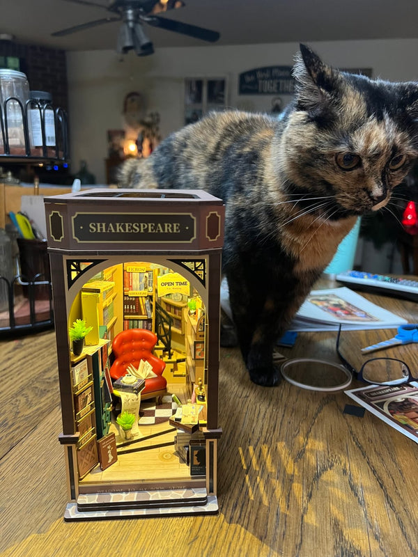 Puzzloria™ | Diy Book Nook Shelf - Shakespeare Bookstore Customer Review