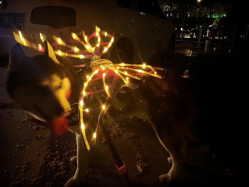 Chrismas Gift Butterfly Wings Fairy Angel Elf LED Glowing Luminous with Music Glowing Cosplay Prop