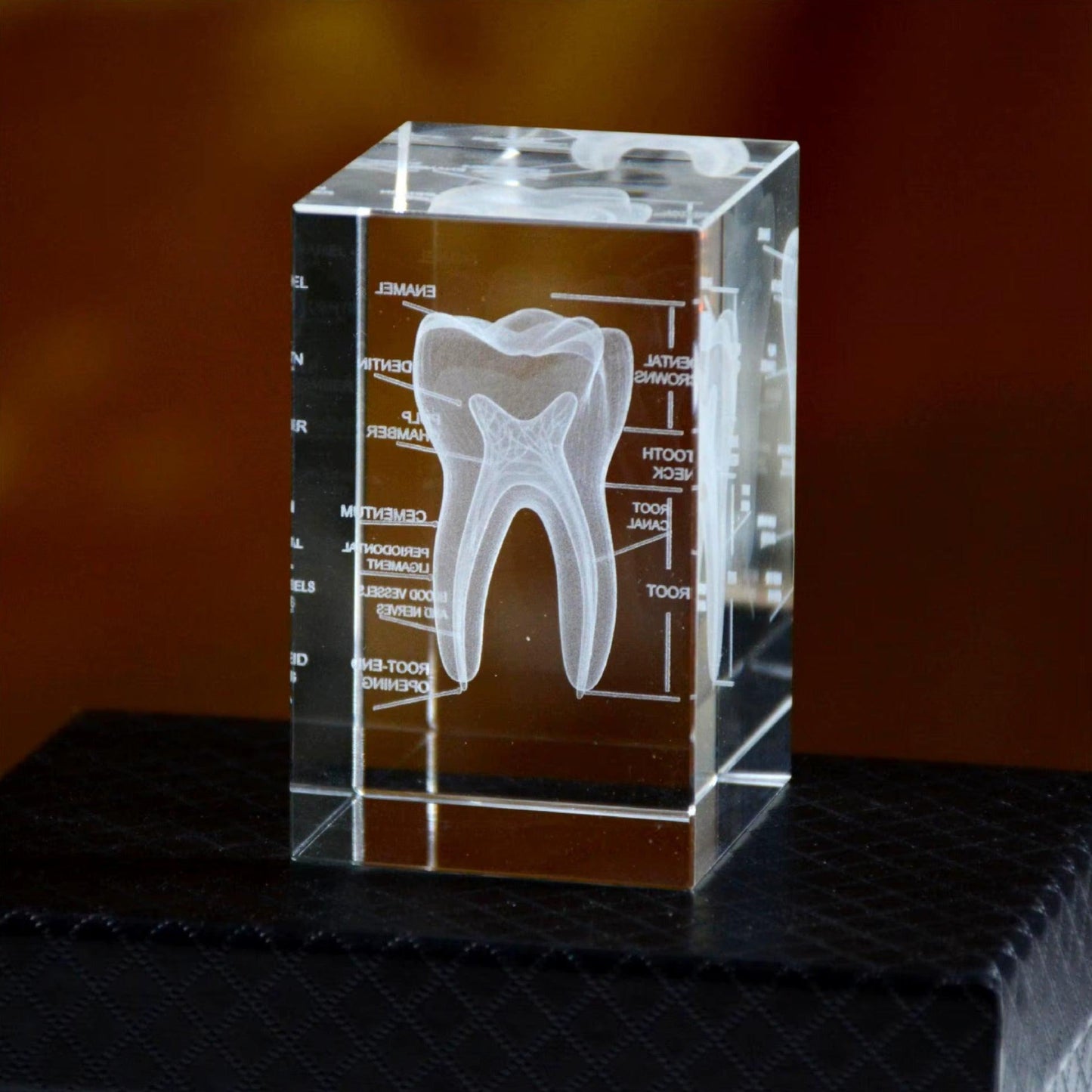 laser etched crystal anatomy paperweight with optional wooden led base for doctor office and dentist desk decor – 93898891928509, 93898892061277, 93898892131901, 93898892264669, 93898892397437, 93898892430205, 93898892562973, 93898892695741, 93898892794045, 93898892826813