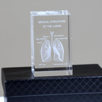 led lit anatomy crystal display for office reception bookshelf or stem classroom science teacher decor – 93898891928509, 93898892061277, 93898892131901, 93898892264669, 93898892397437, 93898892430205, 93898892562973, 93898892695741, 93898892794045, 93898892826813