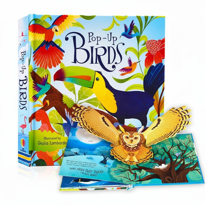 3D pop-up bird book for kids ages 3 to 6 with hardcover toucan and owl pop-up scenes for preschool bedtime reading