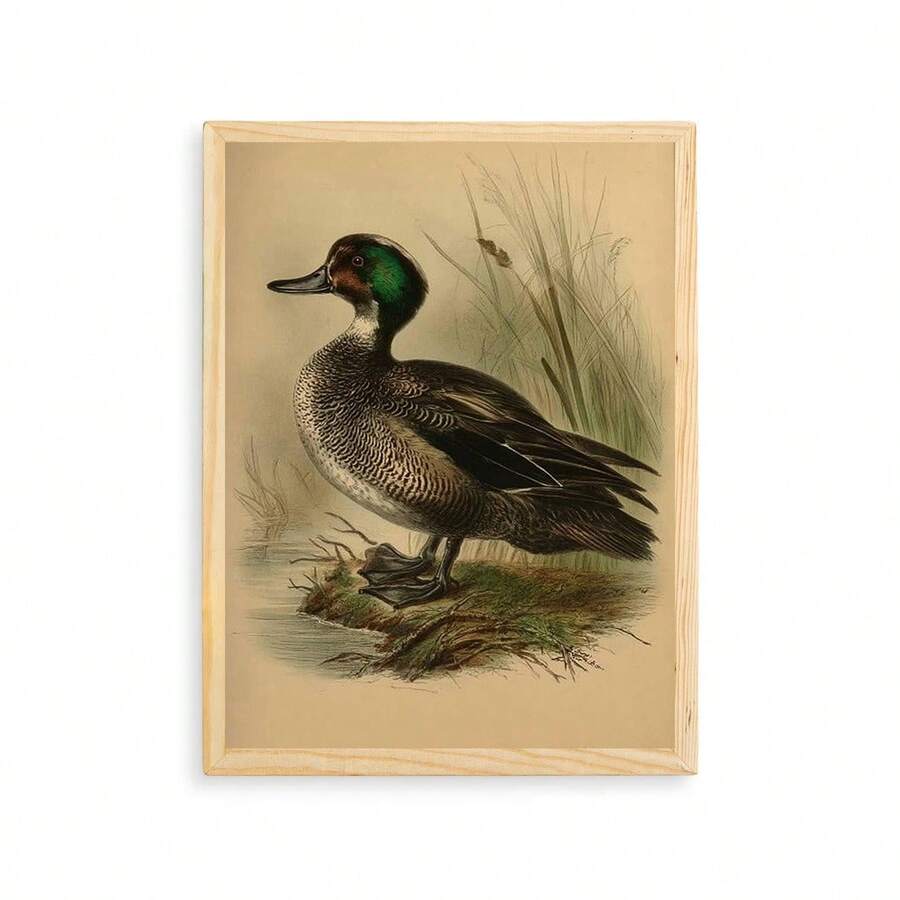 vintage duck wall art print mallard hunting cabin decor - 1778357150712_426, 1778357150712_933, 1778357150712_780, 1778357150712_111