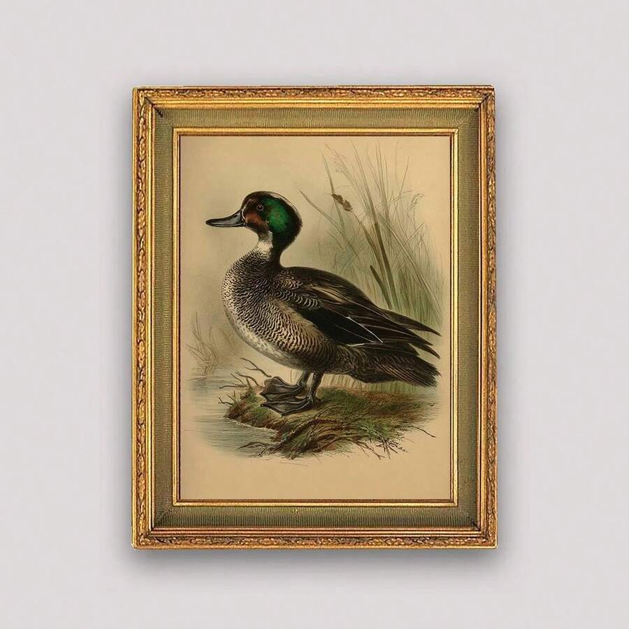 waterfowl illustration canvas print farmhouse country wall art - 1778357150712_426, 1778357150712_933, 1778357150712_780, 1778357150712_111