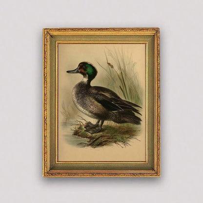 waterfowl illustration canvas print farmhouse country wall art - 1778357150712_426, 1778357150712_933, 1778357150712_780, 1778357150712_111