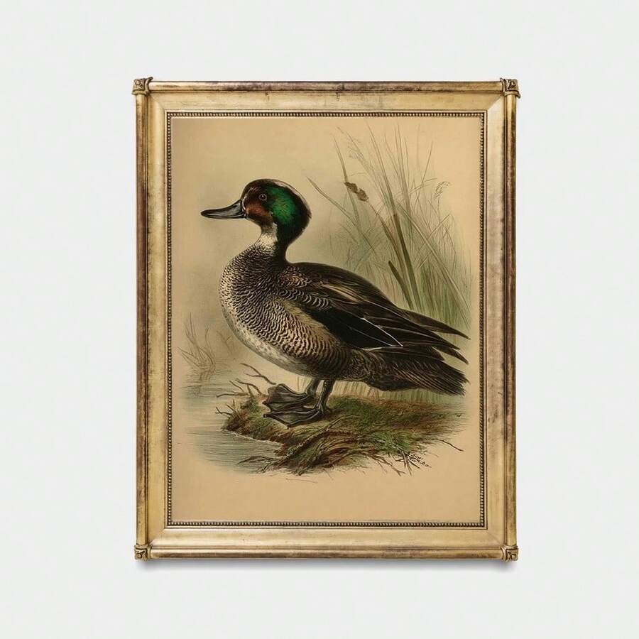 duck illustration print farmhouse wall decor bedroom living room - 1778357150712_426, 1778357150712_933, 1778357150712_780, 1778357150712_111