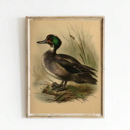retro waterfowl canvas wall art rustic country style print - 1778357150712_426, 1778357150712_933, 1778357150712_780, 1778357150712_111