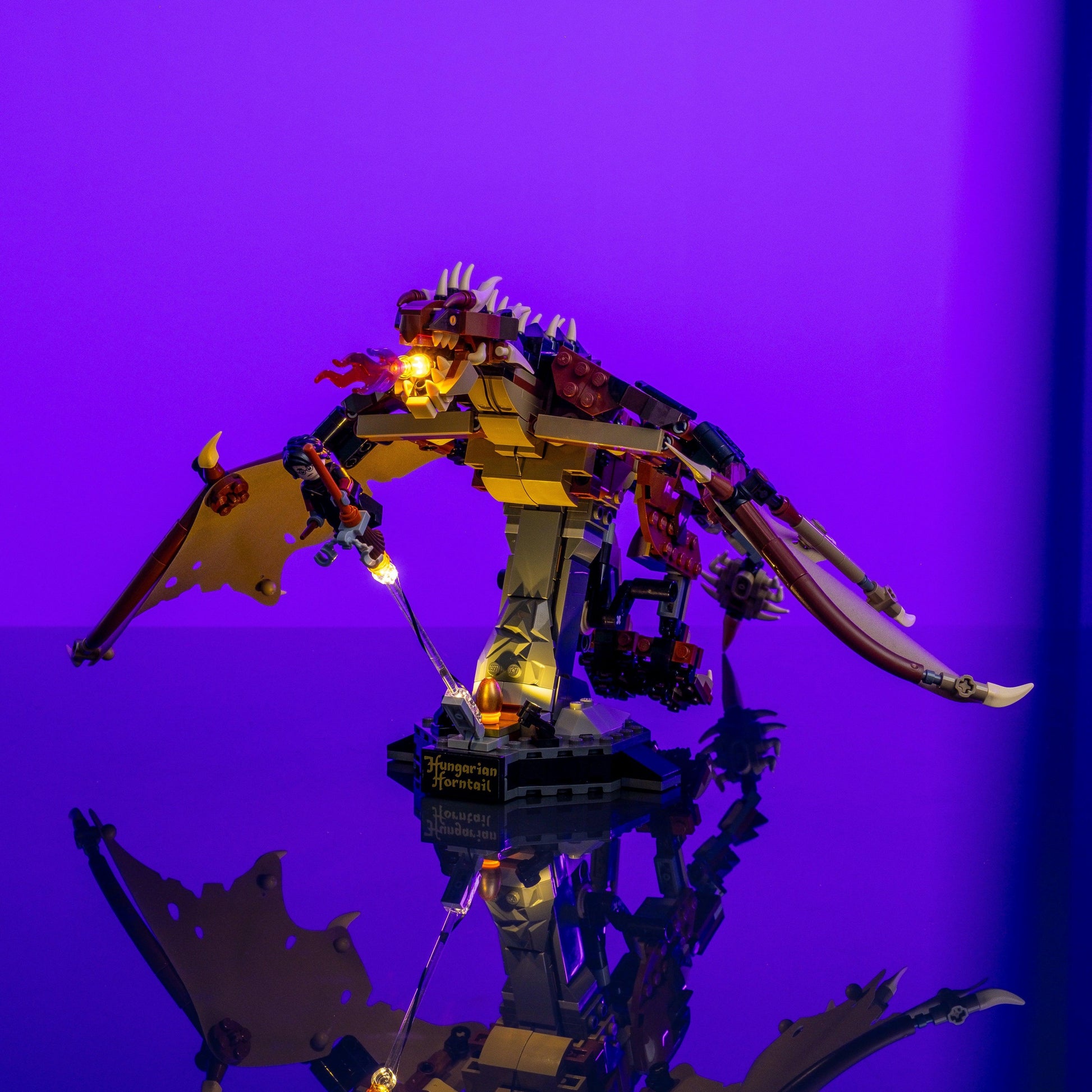 Fantasy starter pack LEGO compatible LED kits color-coded wires reversible install for display upgrades