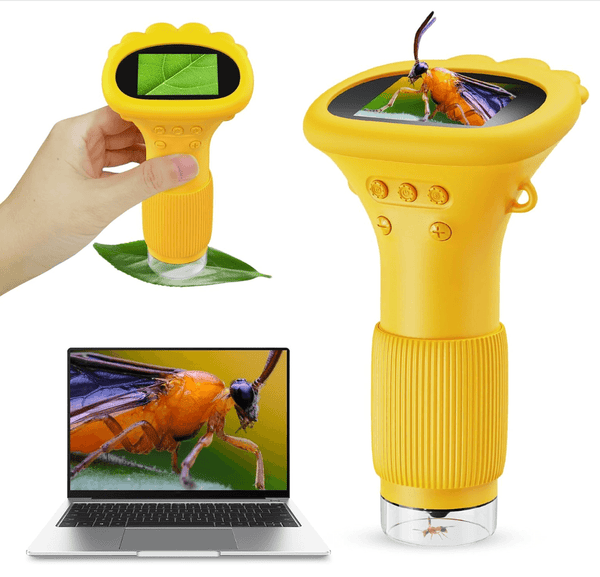 Micro Explorer Pro 1000X digital microscope held by hand showing insect on display, USB to laptop view — SCOPE-1, SCOPE-2, SCOPE-4