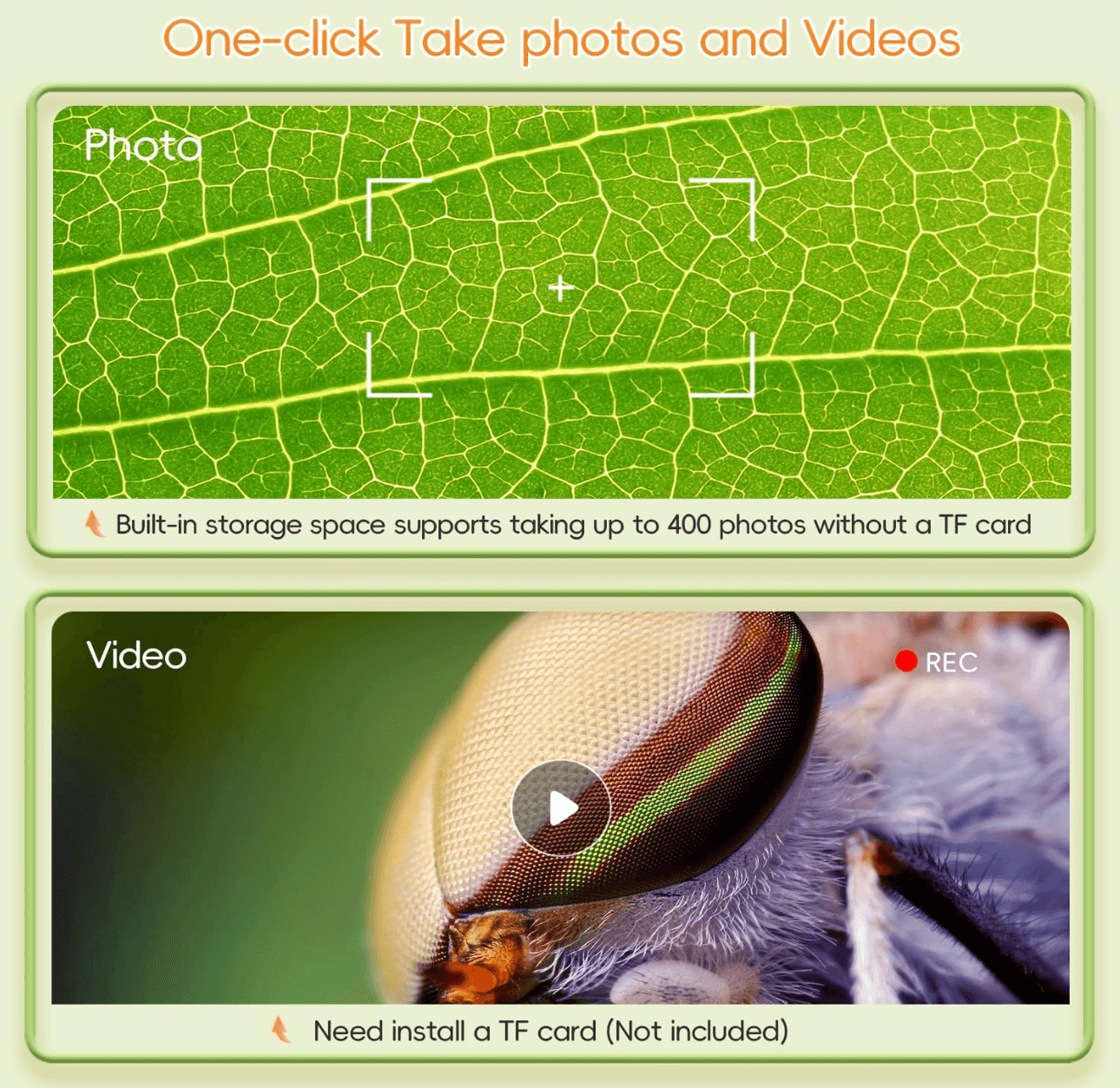Pro 1000X digital microscope one-click photo video function leaf and insect samples — SCOPE-1, SCOPE-2, SCOPE-4