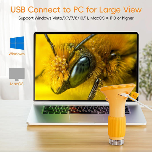 Pro 1000X USB digital microscope on laptop with bee macro — SCOPE-1, SCOPE-2, SCOPE-4