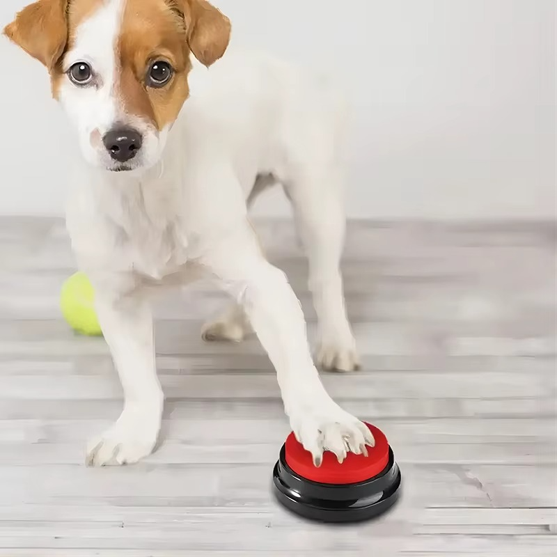 Recordable pet training communication buttons with voice recording feature for dog and cat command training in multiple colors