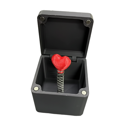 Black box with a red heart-shaped object inside on a white background
